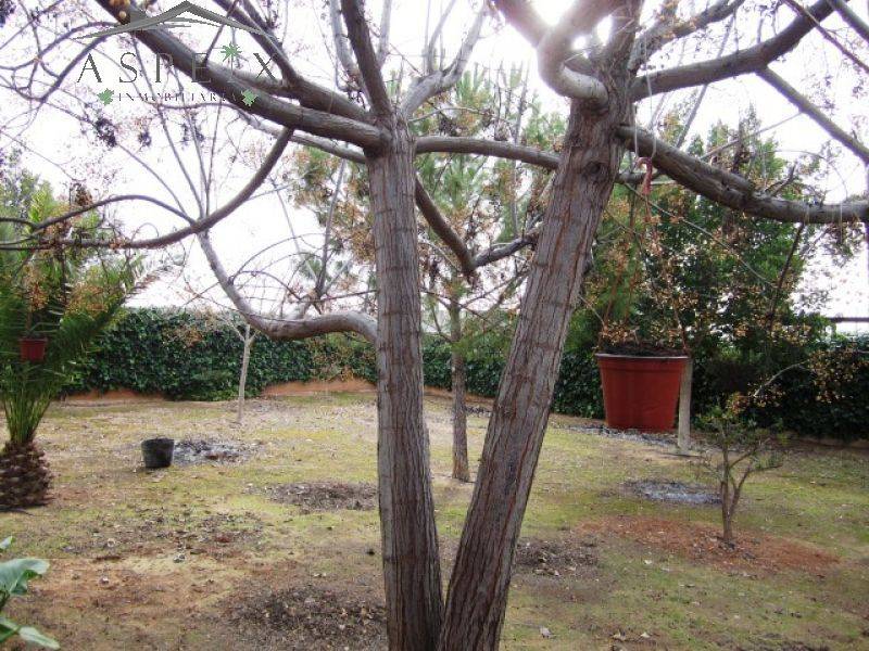 Re-sale - Villa - Novelda - CASAS DE SALA