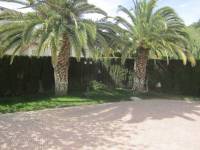 Venta - Chalet - Petrer - Loma badá