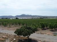 Re-sale - Country house - Monforte Del Cid - GABARRERA