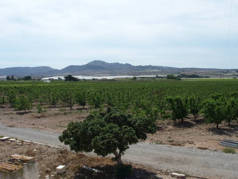 Re-sale - Country house - Monforte Del Cid - GABARRERA