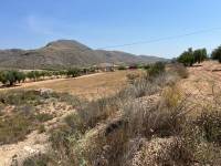 Venta - Plot - Barbarroja
