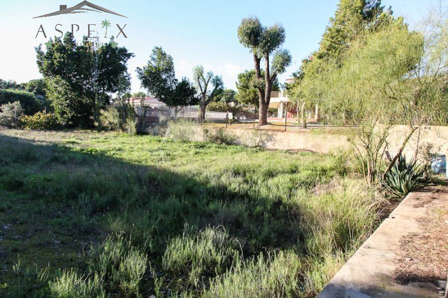 Venta - Chalet - Elche  - BUENOS AIRES