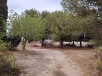 Venta - Casa de campo - Aspe