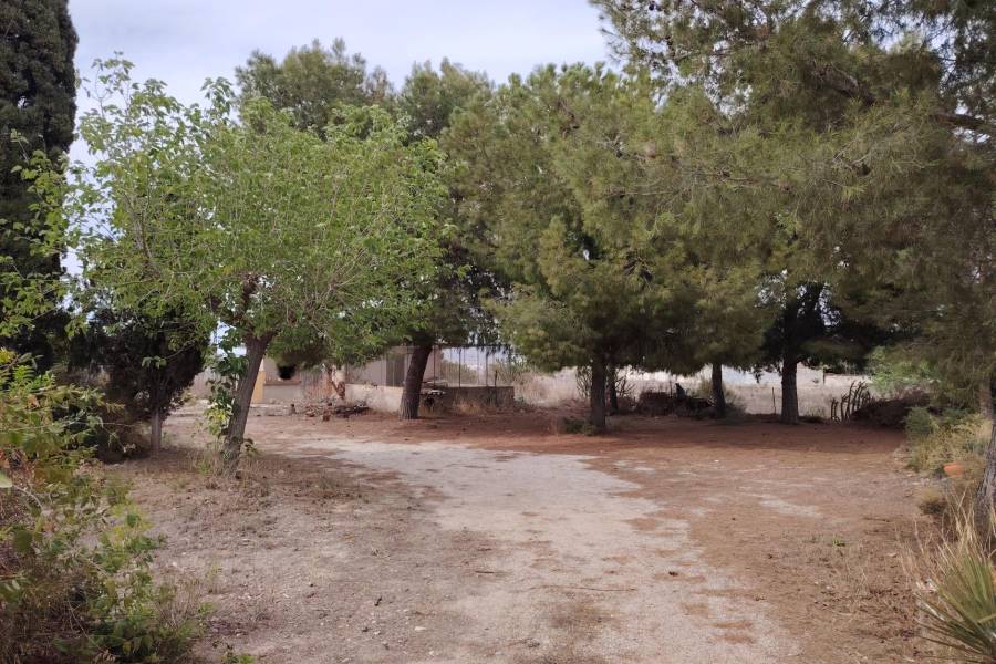 Venta - Casa de campo - Aspe