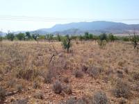 Re-sale - Plot - Hondon De Las Nieves - LA CANALOSA