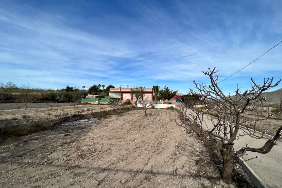 Venta - Casa de campo - Hondon De Los Frailes