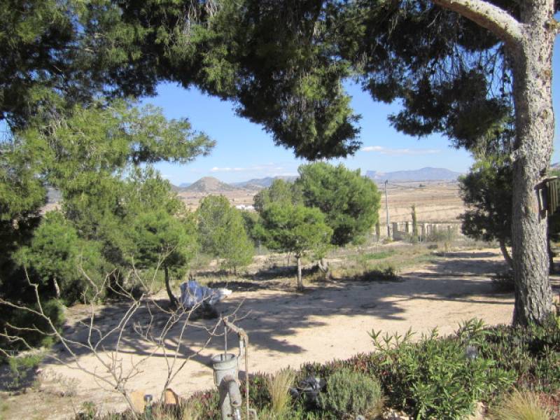 Re-sale - Villa - Pinoso - UBEDA