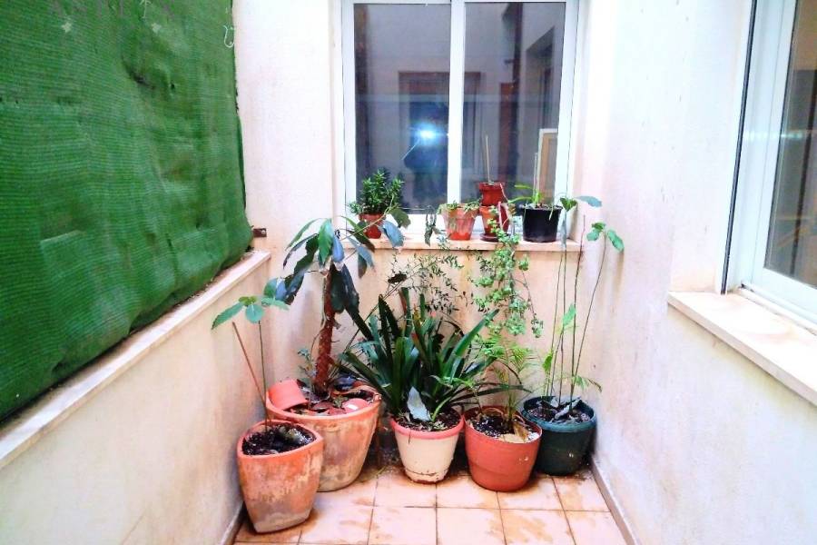 Venta -  - Monforte Del Cid