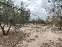 Re-sale - Country house - Novelda