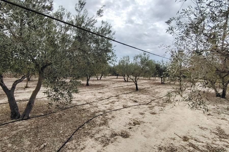 Re-sale - Country house - Novelda