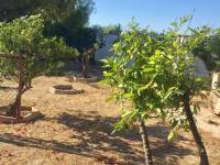 Re-sale - Villa - Elche  - Maitino