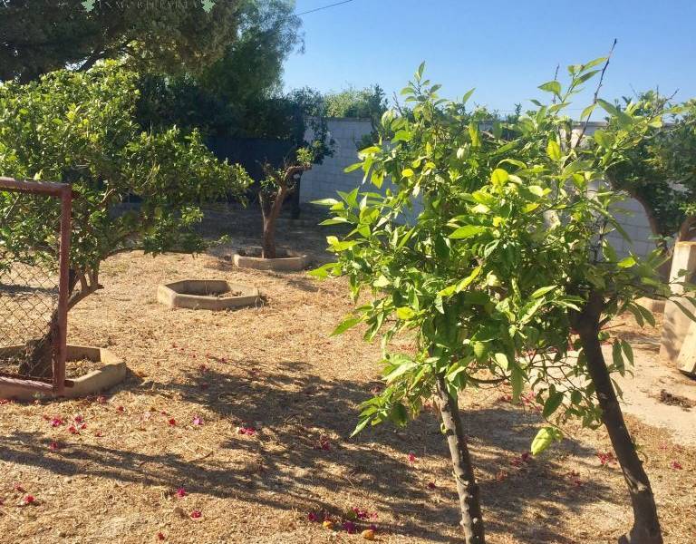 Re-sale - Villa - Elche  - Maitino