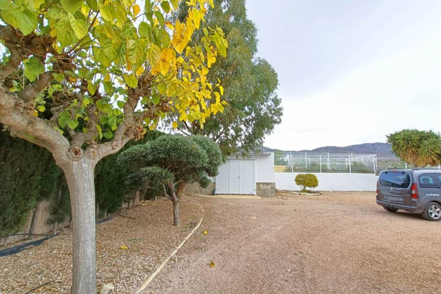 Re-sale - Country house - Albatera - ALBATERA