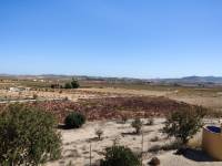 Venta - Casa de campo - Pinoso