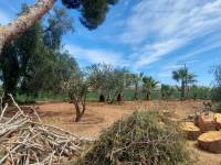 Re-sale - Country house - Hondon De Las Nieves