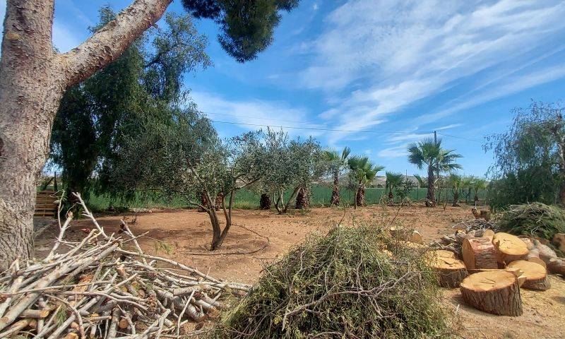 Re-sale - Country house - Hondon De Las Nieves