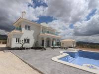 Obra Nueva - Chalet - Pinoso