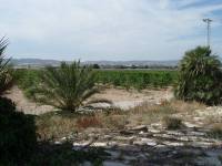 Re-sale - Country house - Monforte Del Cid - GABARRERA