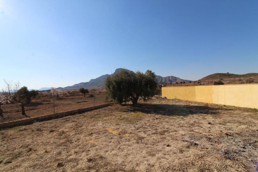 Re-sale - Country house - Hondon De Los Frailes - BARBARROJA