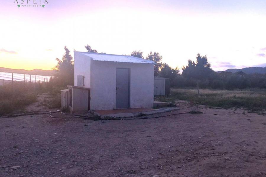 Re-sale -  - Novelda - HORNA BAJA