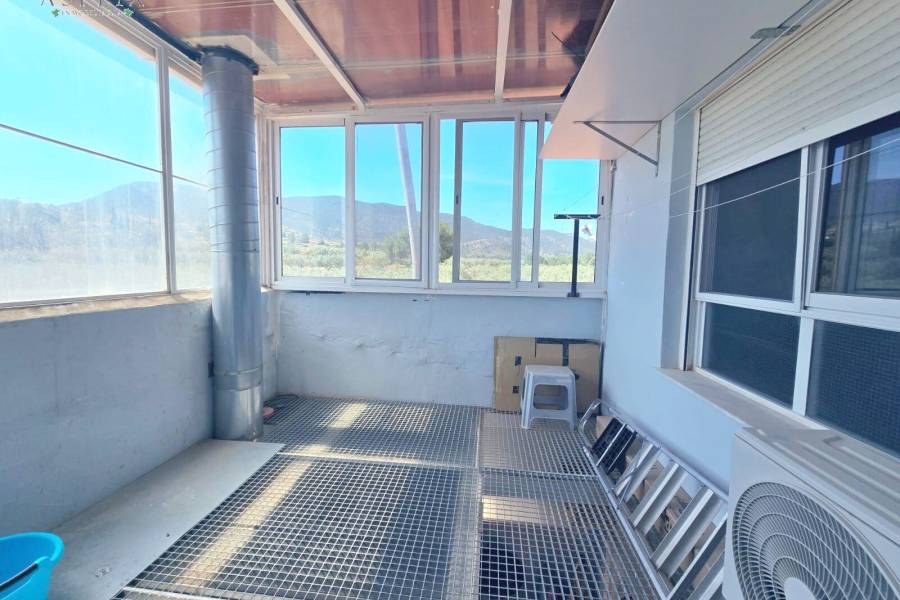 Venta - T - Hondon De Las Nieves - Pueblo 6