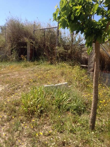 Venta - Chalet - Sax - SAX RURAL