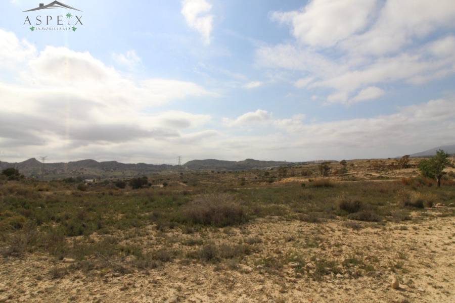 Re-sale - Plot - Monforte Del Cid - Monte Cid
