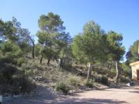 Re-sale - Villa - Pinoso - UBEDA