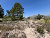 Venta - Plot - Barbarroja