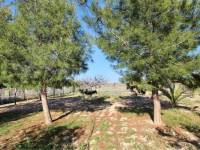 Re-sale - Villa - Monforte Del Cid - PATIDA WALAIG