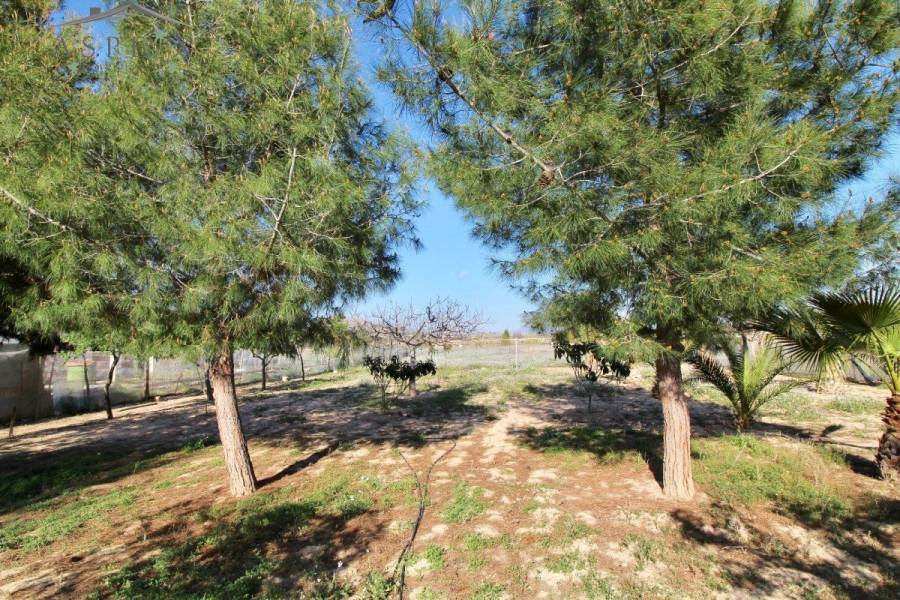 Re-sale - Villa - Monforte Del Cid - PATIDA WALAIG