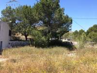 Venta - Casa de campo - Monforte Del Cid - Monforte cid