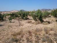 Re-sale - Plot - Hondon De Las Nieves - LA CANALOSA