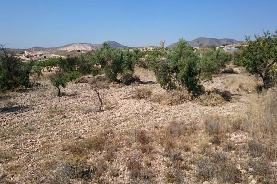 Re-sale - Plot - Hondon De Las Nieves - LA CANALOSA