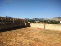 Re-sale -  - Aspe - Caminico de elche