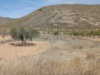 Venta - Plot - Hondon De Los Frailes