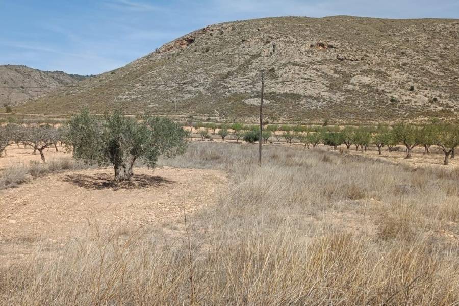 Venta - Plot - Hondon De Los Frailes