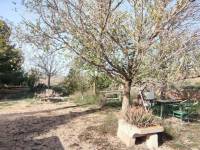 Venta - Casa de campo - Pinoso
