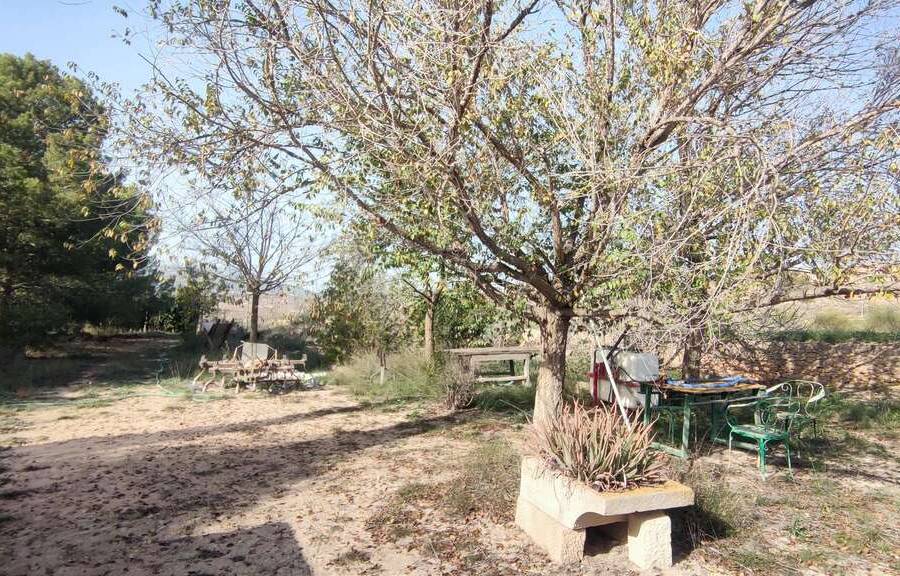 Venta - Casa de campo - Pinoso