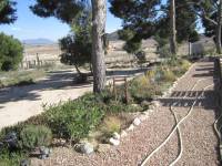 Re-sale - Villa - Pinoso - UBEDA