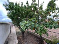 Venta - Townhouse - Hondon De Los Frailes