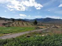 Venta - Casa de campo - Monovar