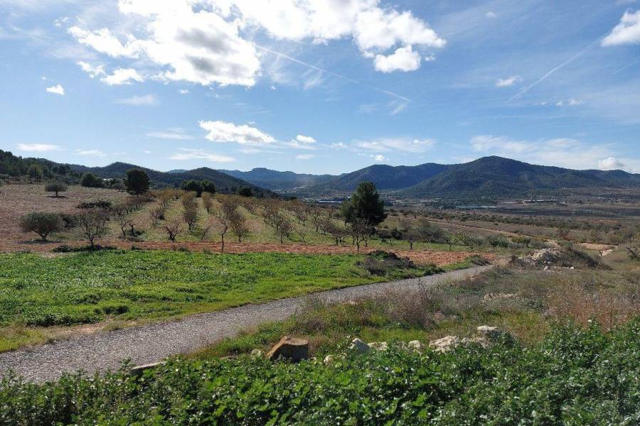 Venta - Casa de campo - Monovar