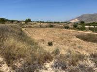 Venta - Plot - Barbarroja