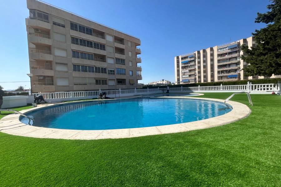 Venta - Apartamento - Santa Pola