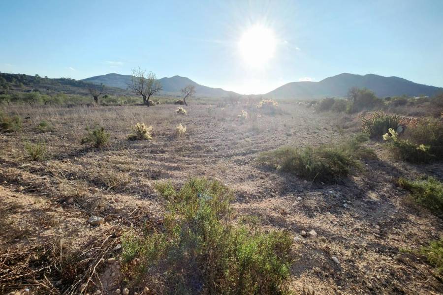 Venta - Casa cueva - Hondon De Las Nieves - LOS CALORES