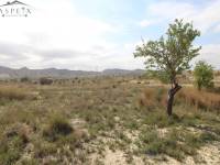 Re-sale - Plot - Monforte Del Cid - Monte Cid