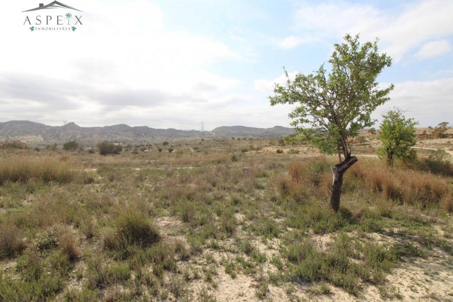 Re-sale - Plot - Monforte Del Cid - Monte Cid