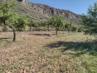 Re-sale - Plot - La Romana - ALGALLAT