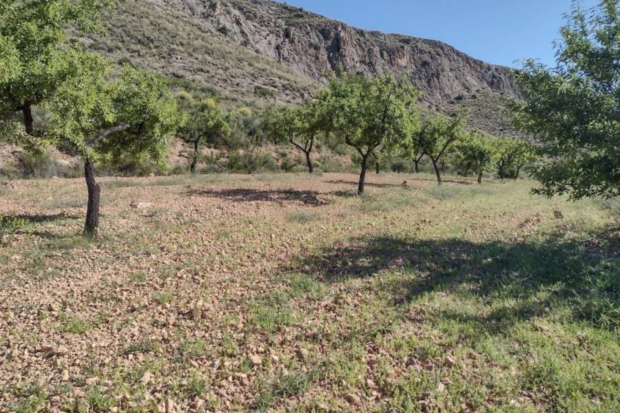 Re-sale - Plot - La Romana - ALGALLAT